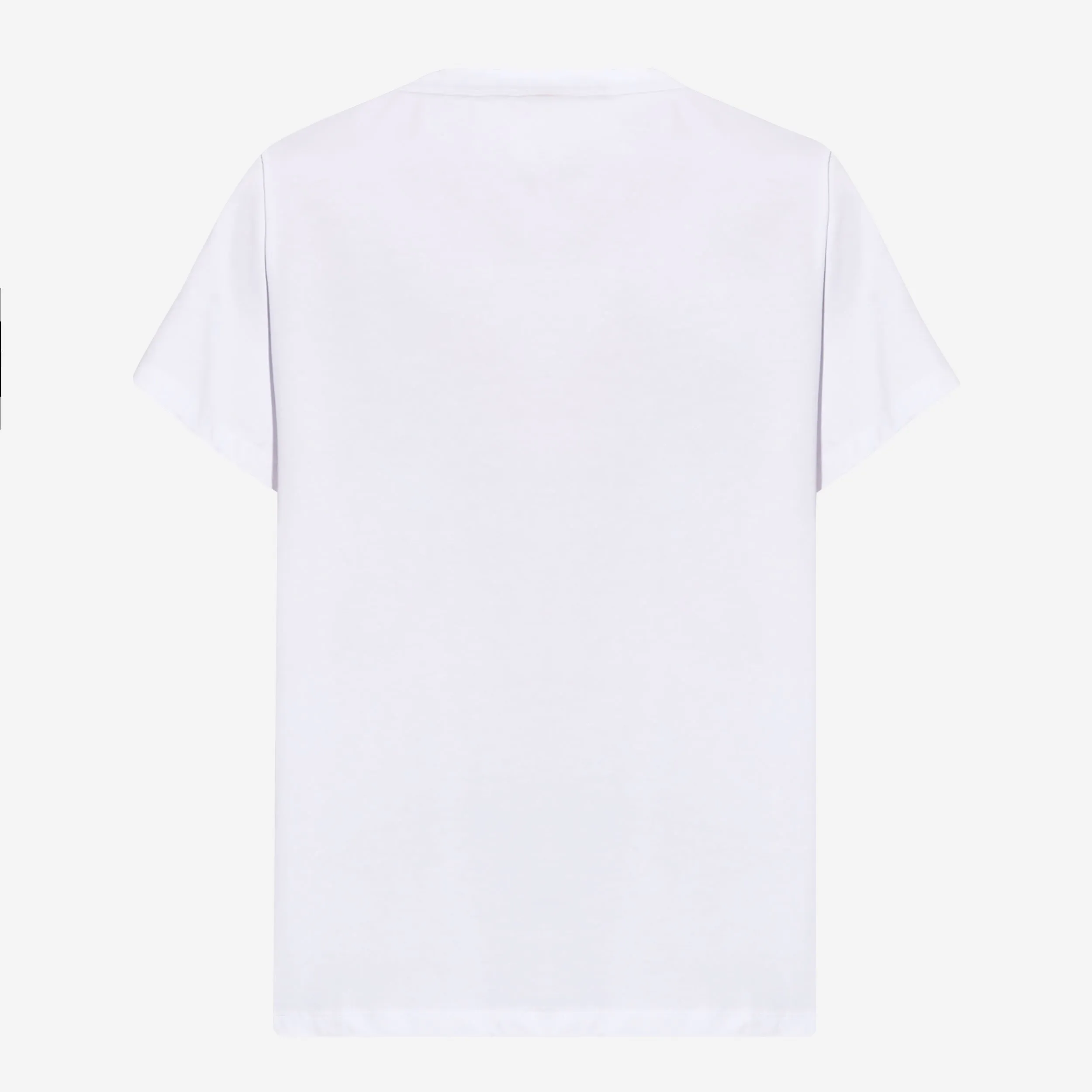 Alexander McQueen Half Seal Logo T-Shirt