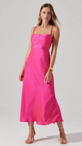 Antlia Maxi Dress - Pink