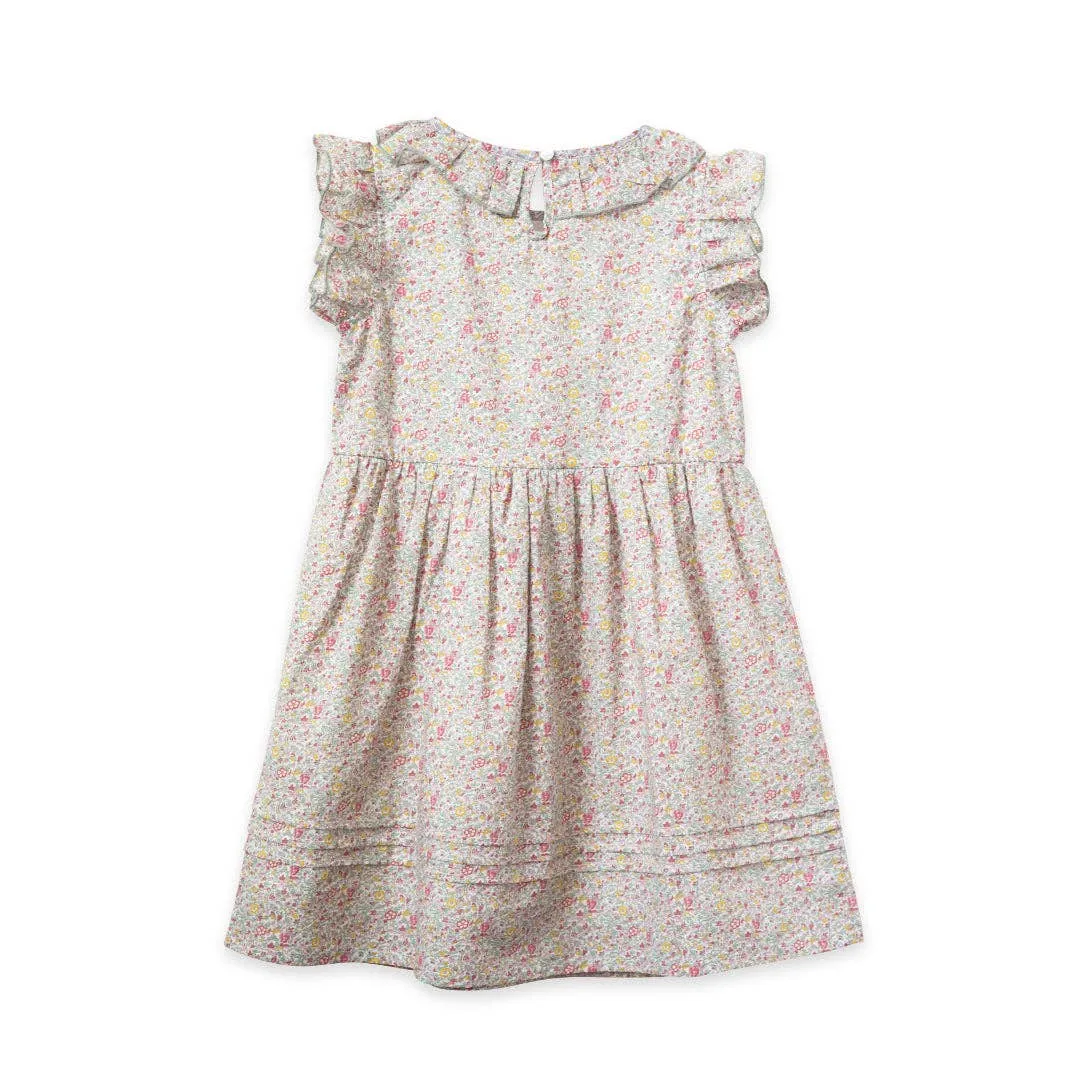 Beet World - Ana Dress - Meadow Floral: 2-3 Y