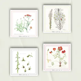 Celebrate Palestinian Wildflowers | Set of 4 Greeting Cards Reds